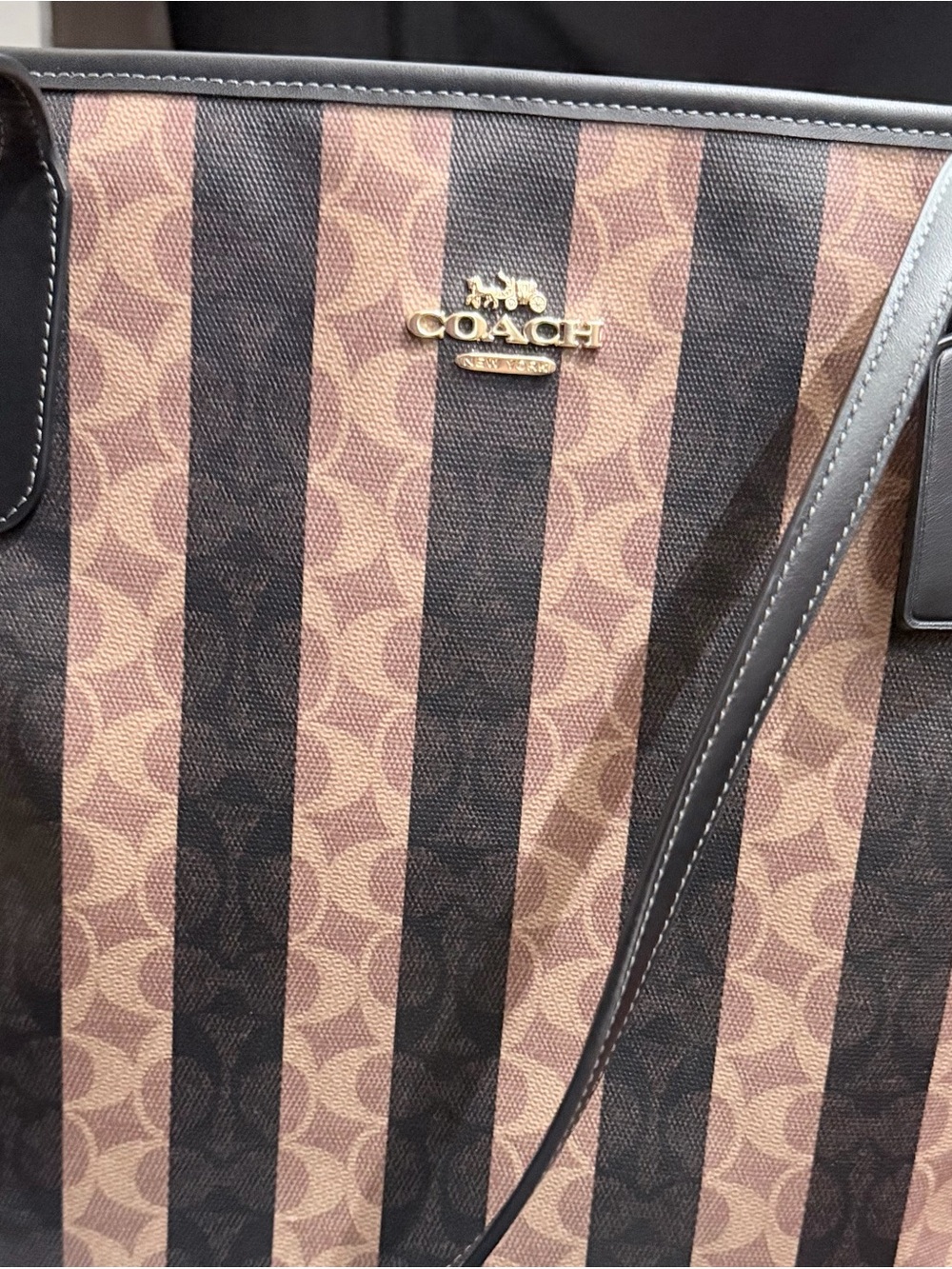 Coach Signature Stripe City Tote Bag - Brown/Black - Picture 6 of 8
